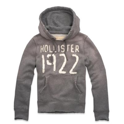 Hollister Men Hoodies-64